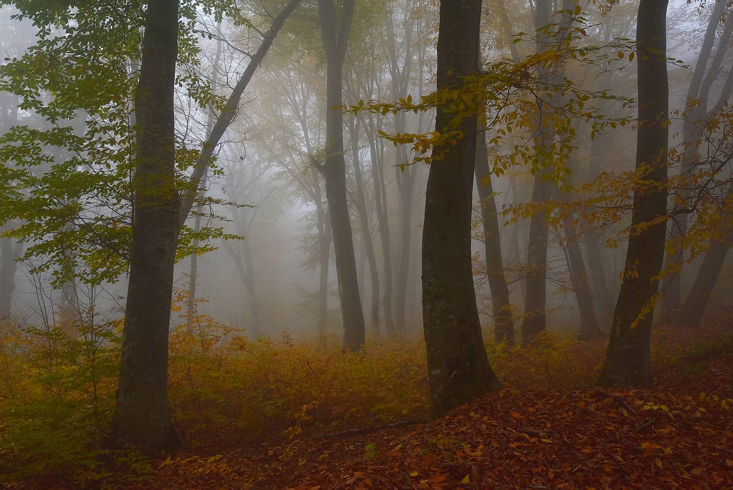 кизиловка, нальчик, кабардино-балкария, Хасан Журтов