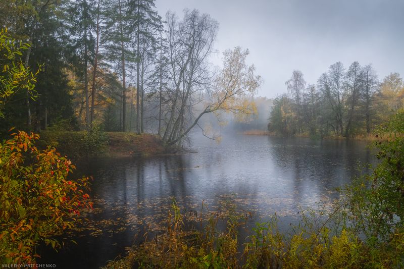 Дождикphoto preview