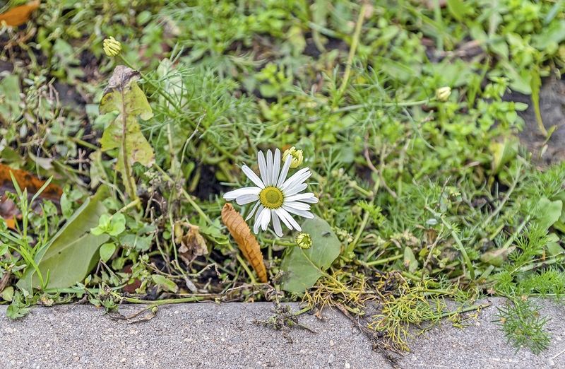 Октябрьскаяphoto preview