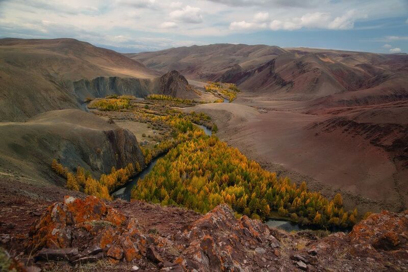 Оазис в Чуйской степиphoto preview