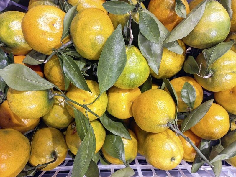 Через 65 дней Новый годphoto preview