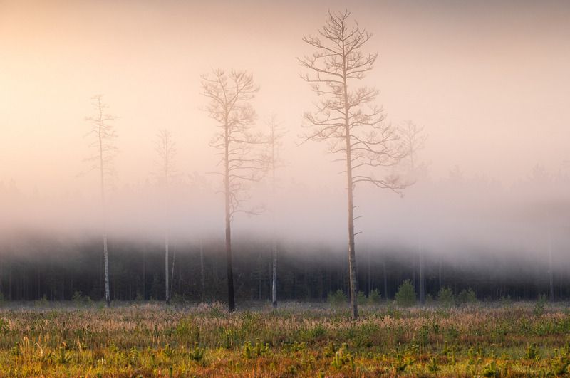 Туманное утро сентябряphoto preview