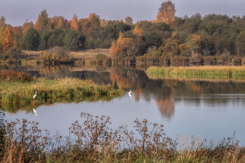 Тверская область Осеньphoto preview