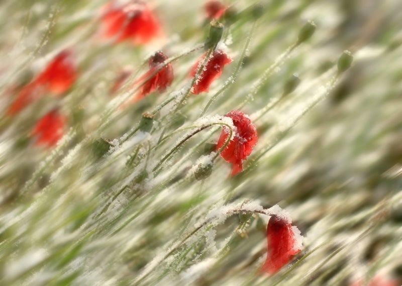 Непогодаphoto preview