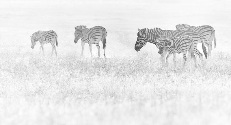 Намибийские истории...photo preview