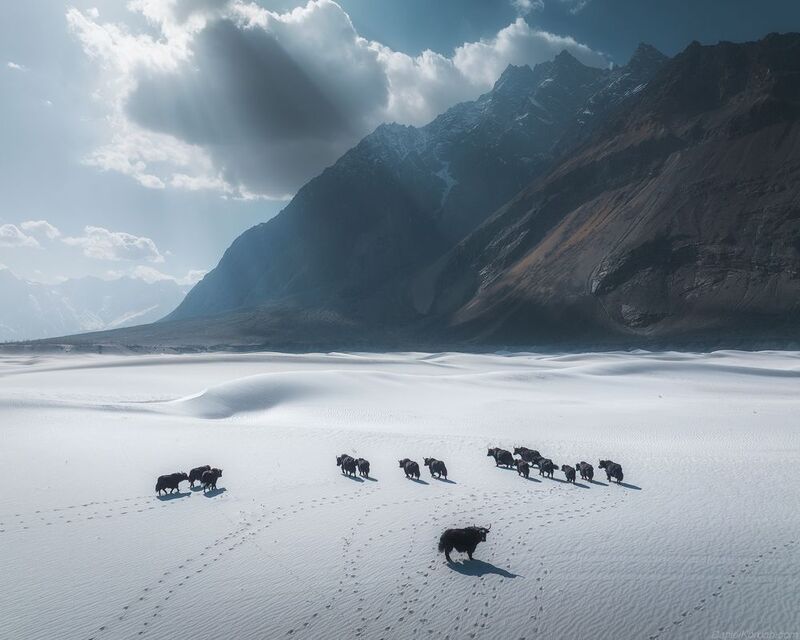 Pakistanphoto preview