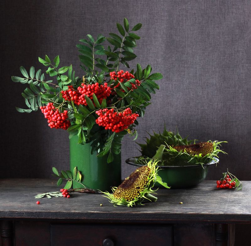 ШН фото превью