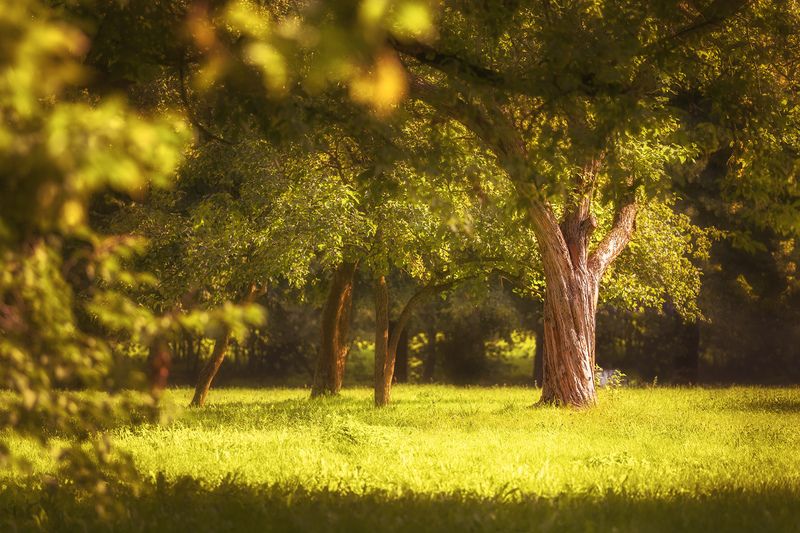 Пейзаж в городе фото превью