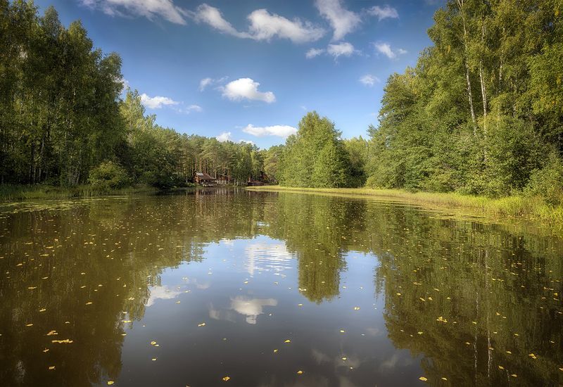 Первый листопадphoto preview