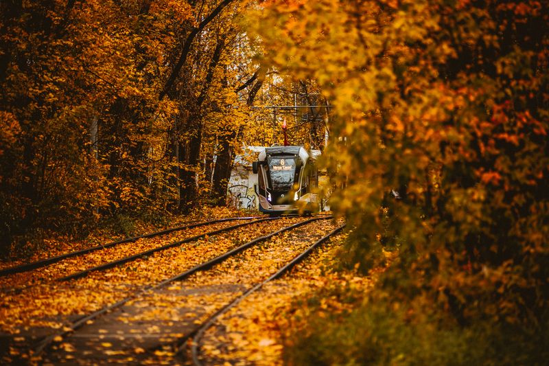 Осенний тоннельphoto preview