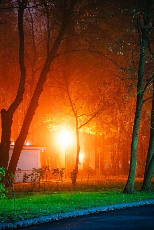 Тульский паркphoto preview