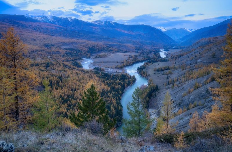 алтай горы лес утро пейзаж красивый излучины река Осенняяphoto preview