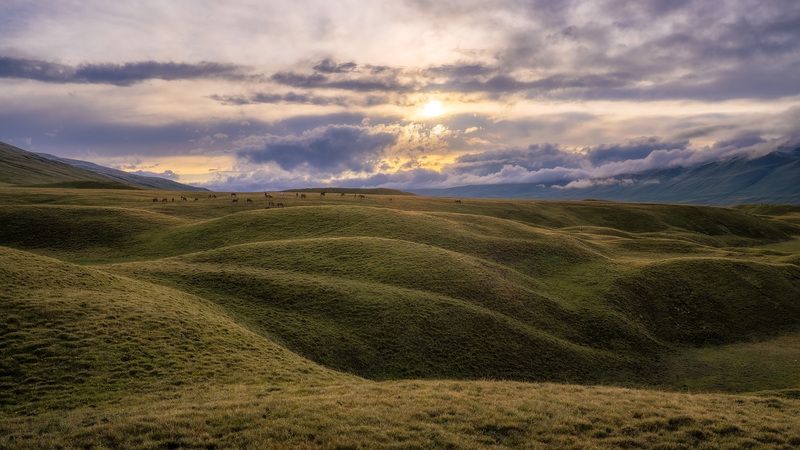 пастбища-холмыphoto preview