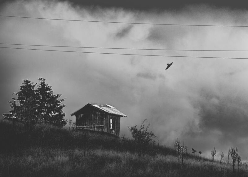 there is no light without shadow фото превью