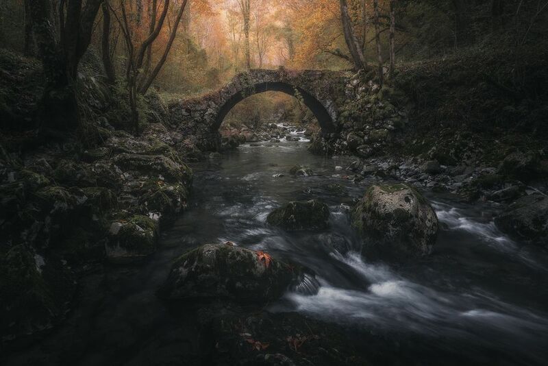 Crimson Passagephoto preview