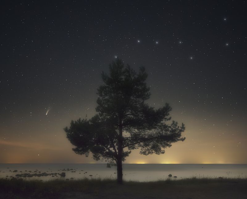 ночь, астропейзаж, комета, lemmon Ночь, дерево, залив, комета.photo preview