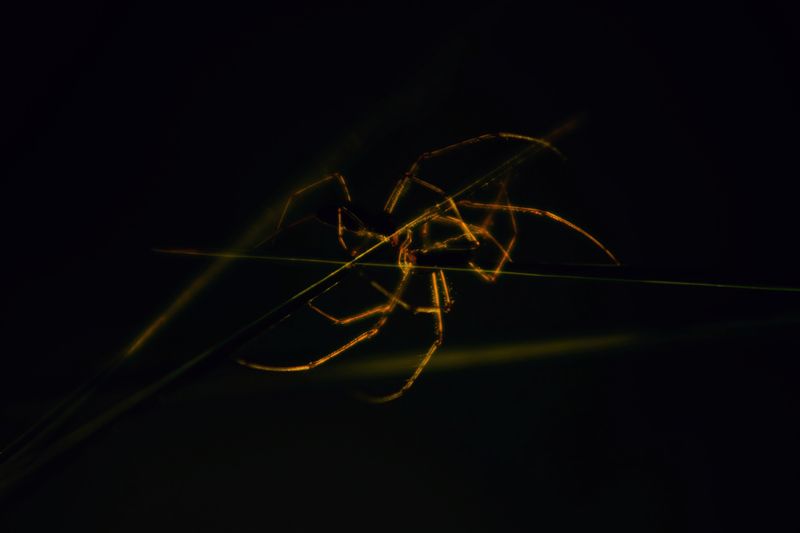 Поцелуйphoto preview