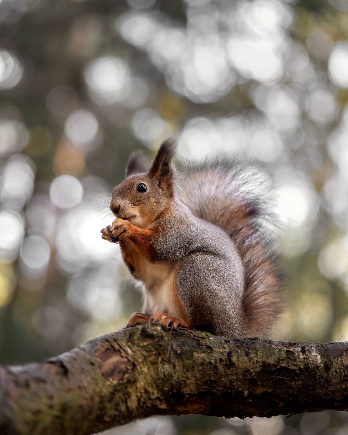 , Завьялова Людмила!