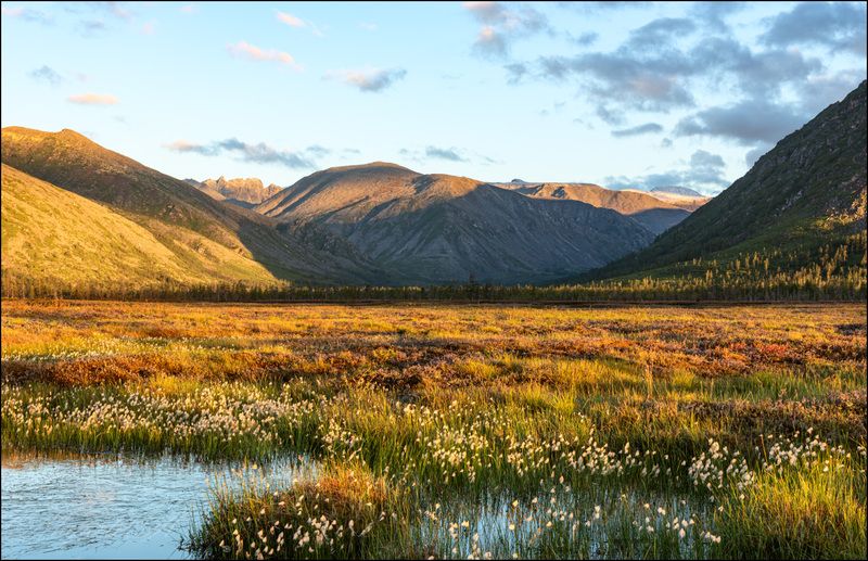 Осень на Джеке с зелёными лиственницамиphoto preview