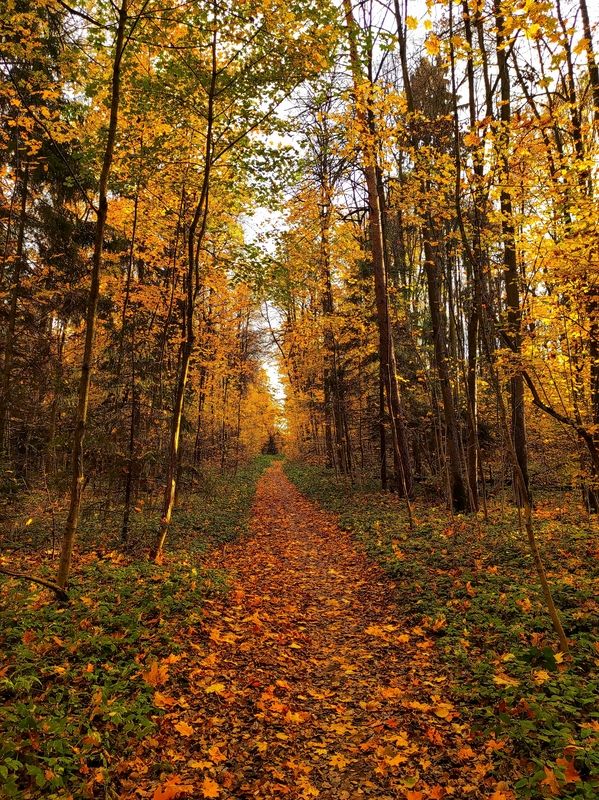 Золотое время годаphoto preview