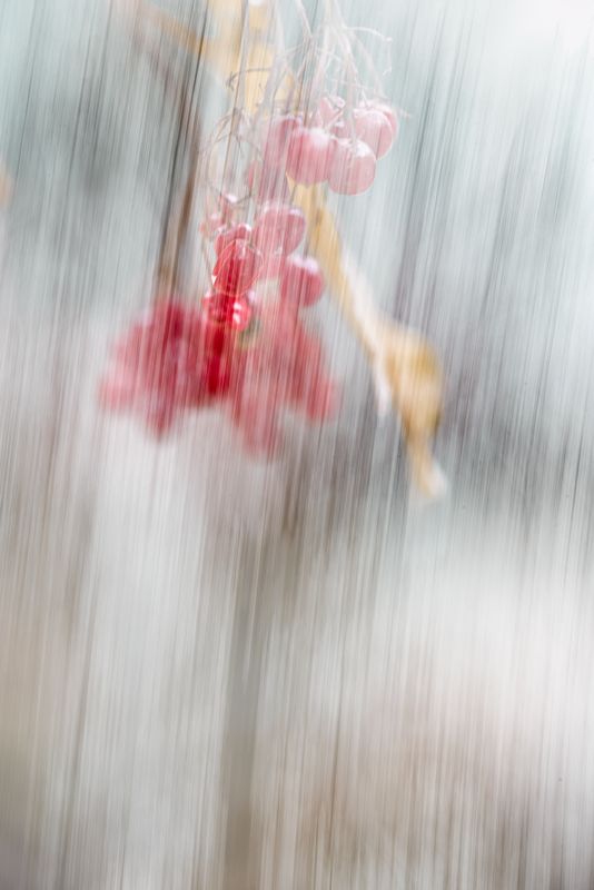 icm, мультиэкспозиция *** фото превью