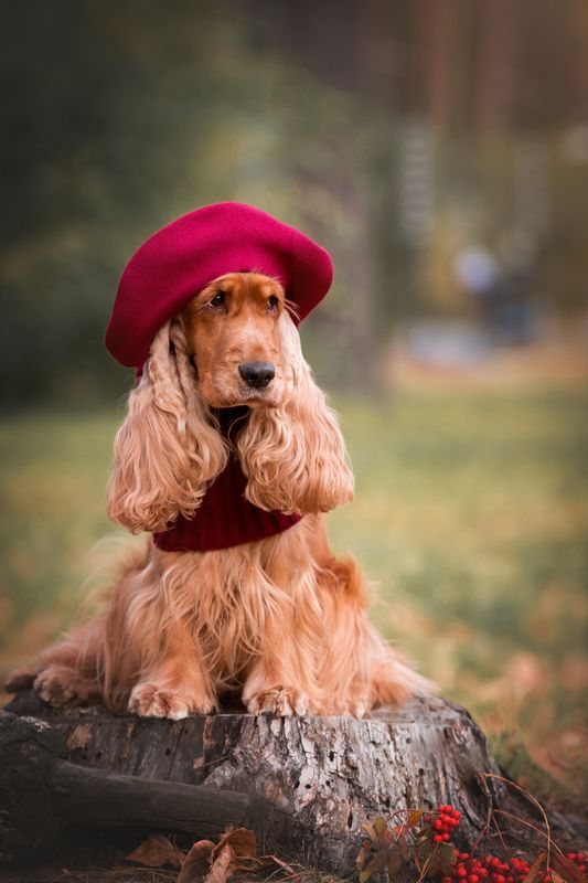 Осенний показ модphoto preview