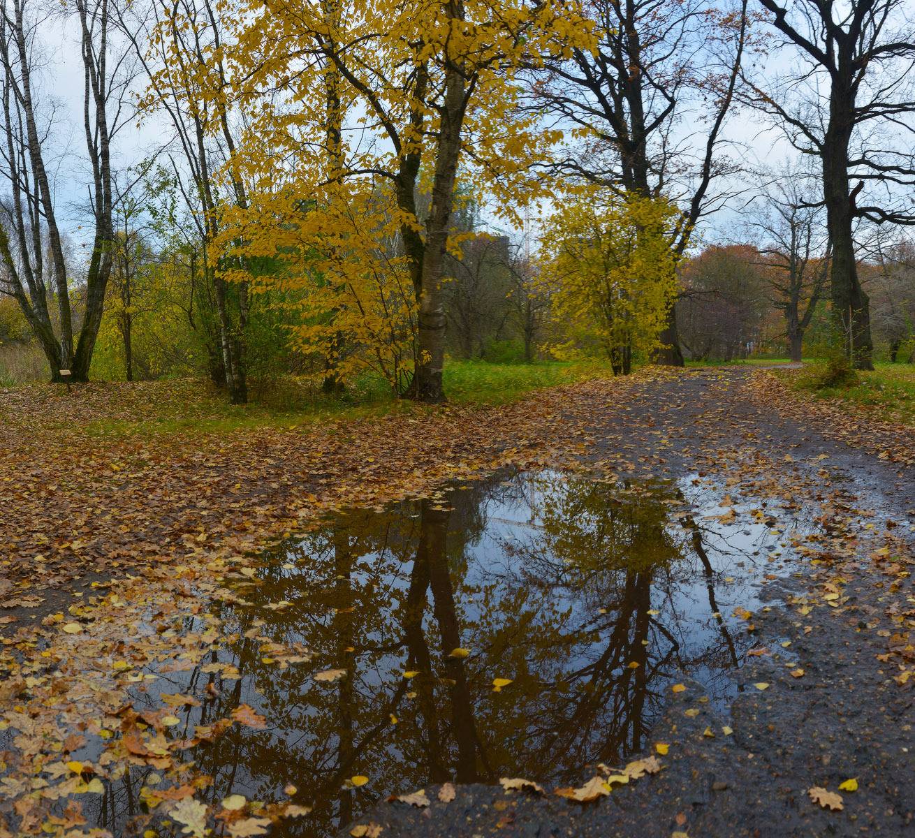 Про осень. Автор: Сергей Седов , Сергей Седов