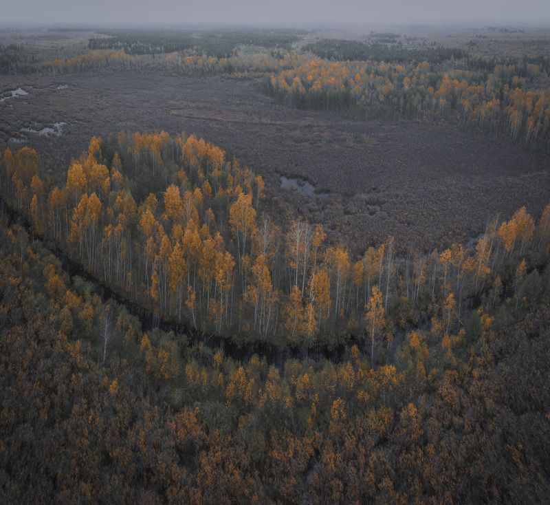 Осень на болотах Мещерыphoto preview