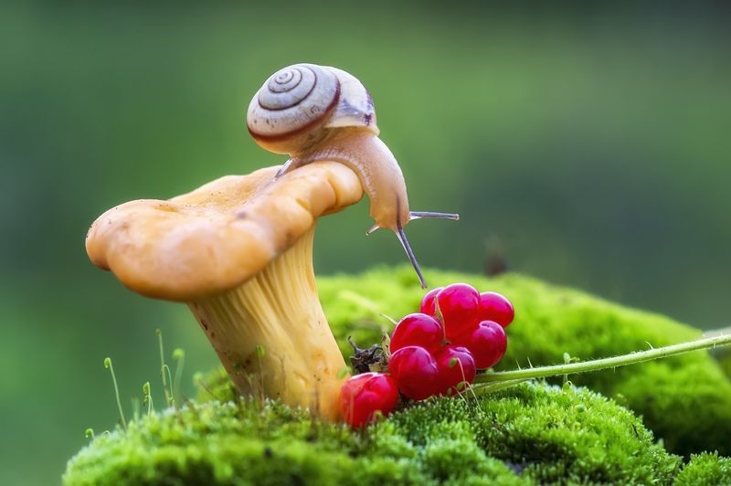 Находкаphoto preview