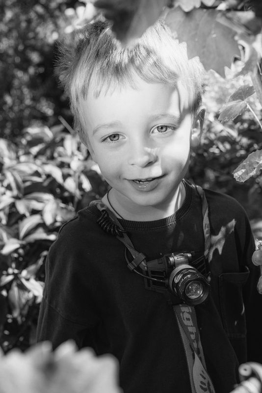 В листьях виноградаphoto preview