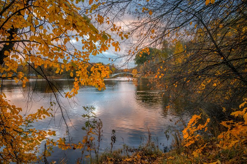Осень на Серебряно-Виноградном прудуphoto preview