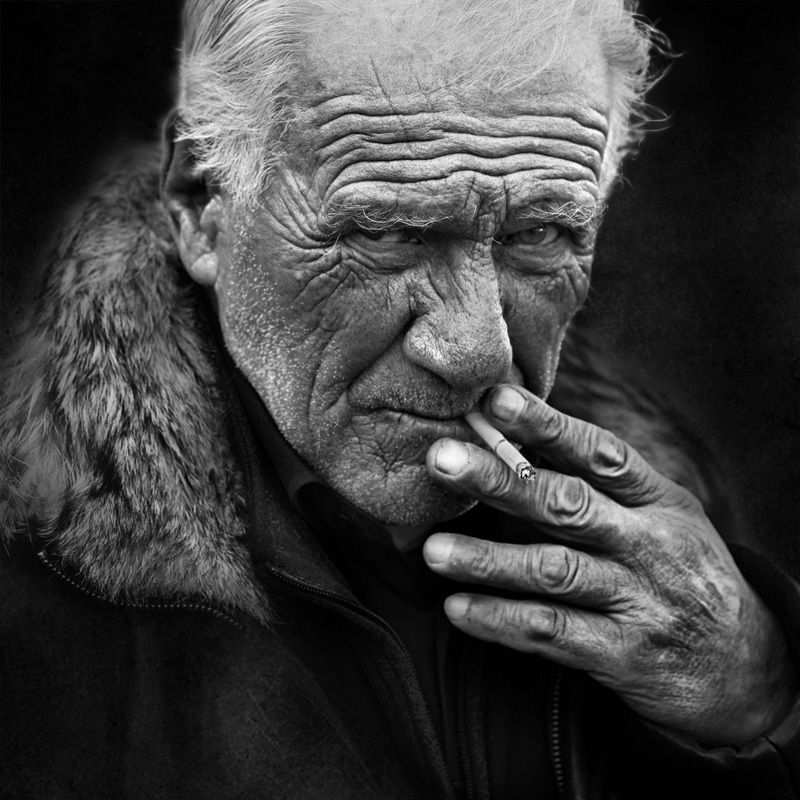 волчий мех(волчура)photo preview