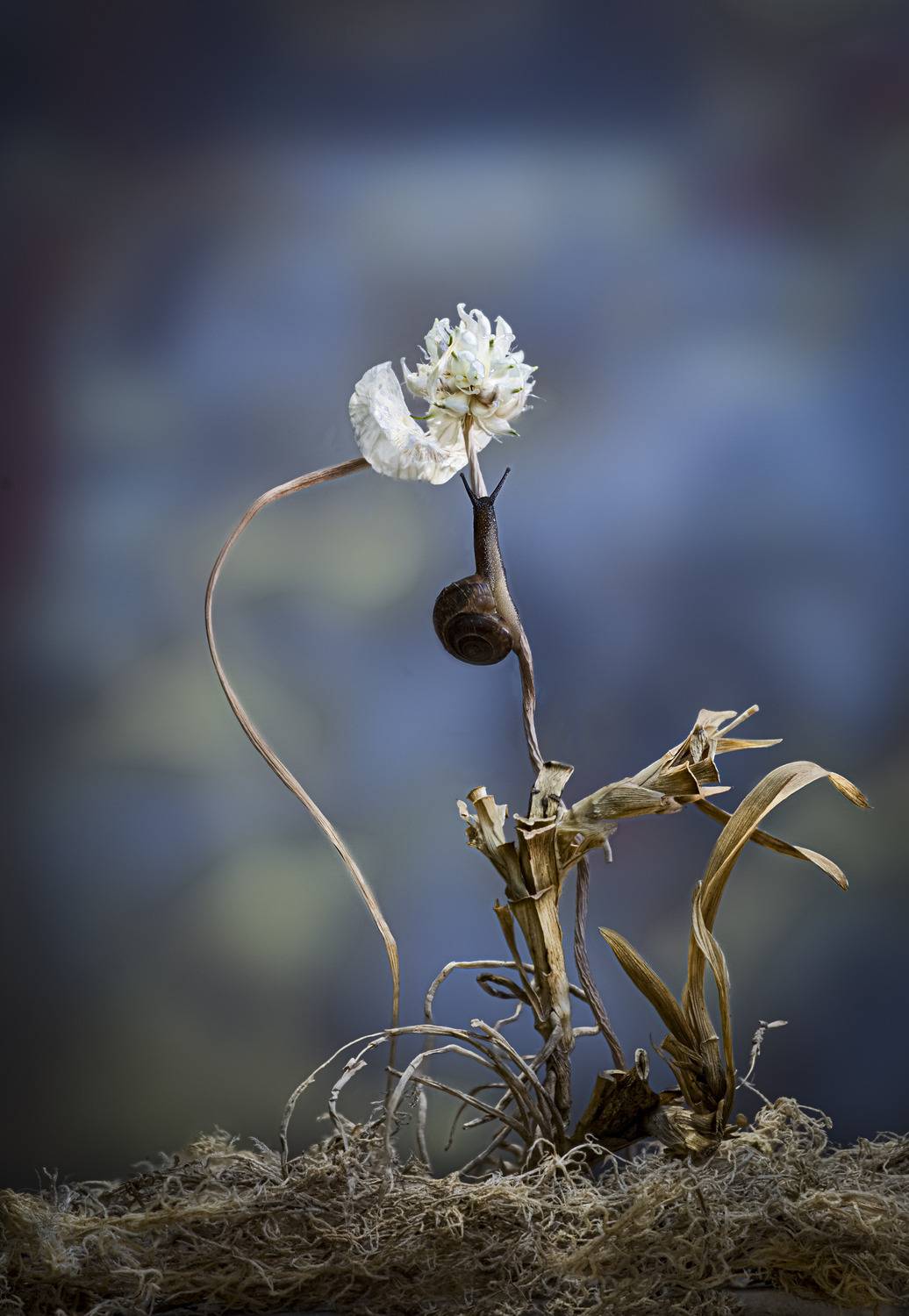 Автор: Валентин Черновол , Валентин Черновол
