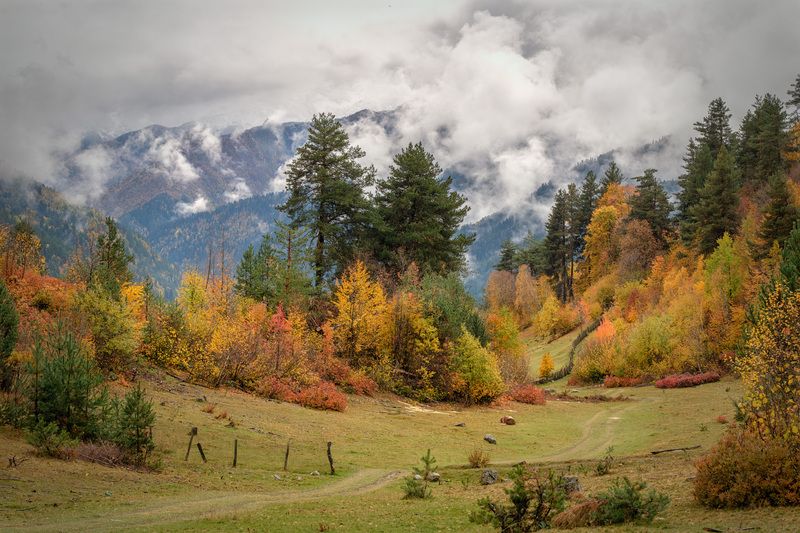 svaneti, tsvirmi, fall, autumn, trees, mountains, clouds, sky, nature, landscape, scenery, travel, outdoors, georgia, sakartvelo, chizh Tsvirmi Autumn 2photo preview