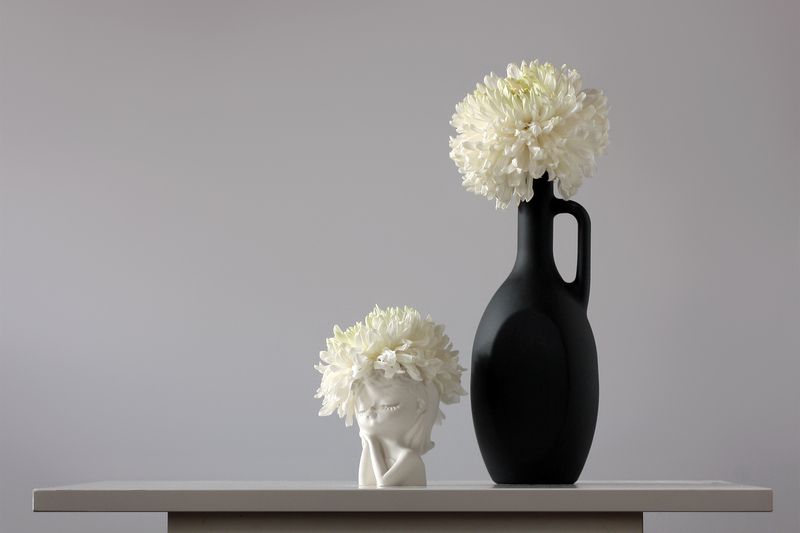 белые хризантемы Осенний сонphoto preview