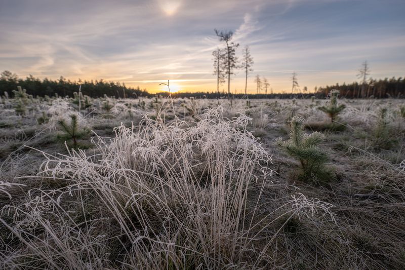 Первые заморозкиphoto preview