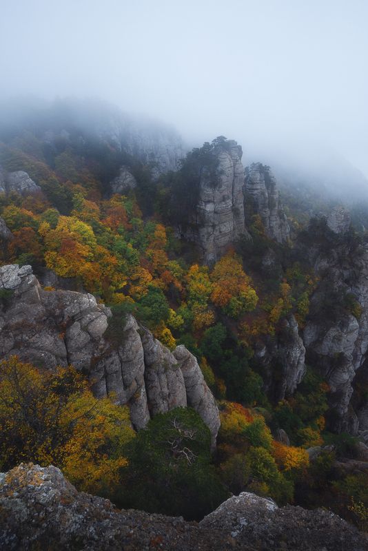Осенний лес на вершине Демерджиphoto preview