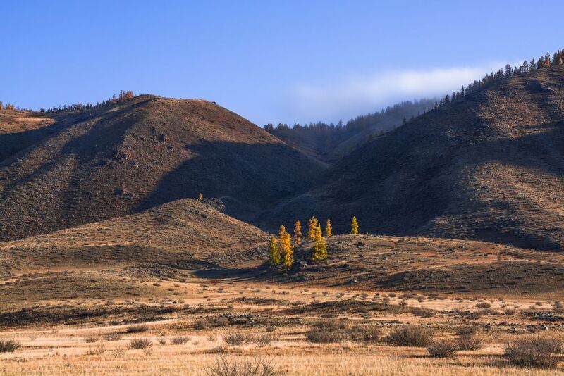 россия, горный алтай,осень,утро, свет, светотени, лиственницы Солнца светphoto preview