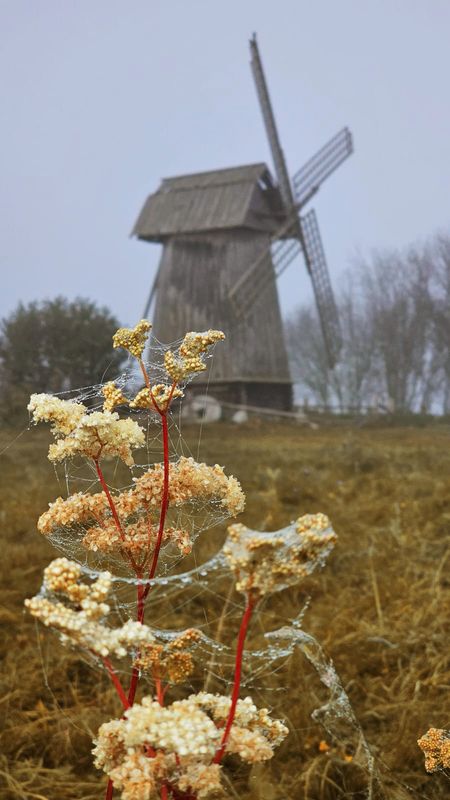 уж небо осенью дышало... photo preview