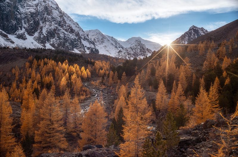 алтай, горы, осень, актру photo preview