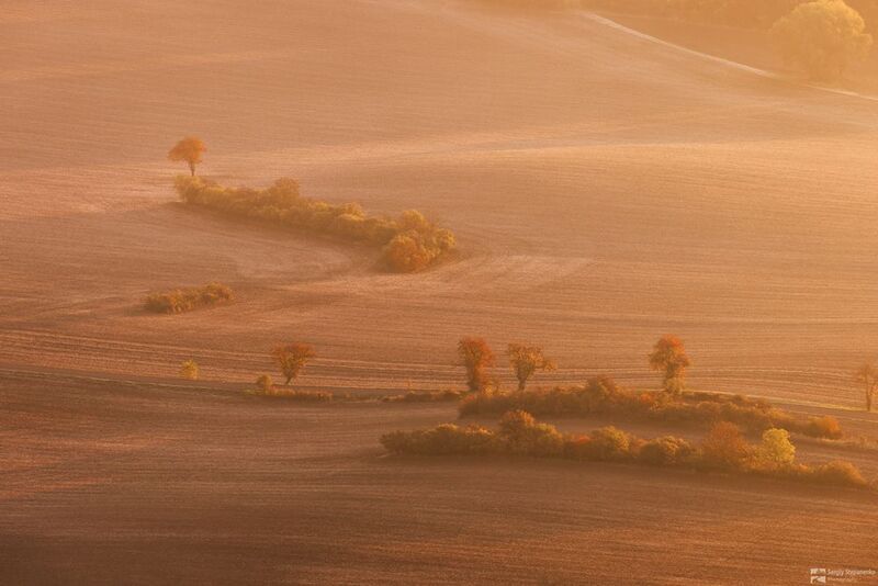 Ghostly Distancesphoto preview