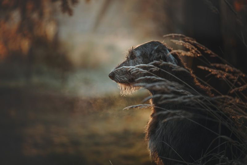 Октябрьphoto preview