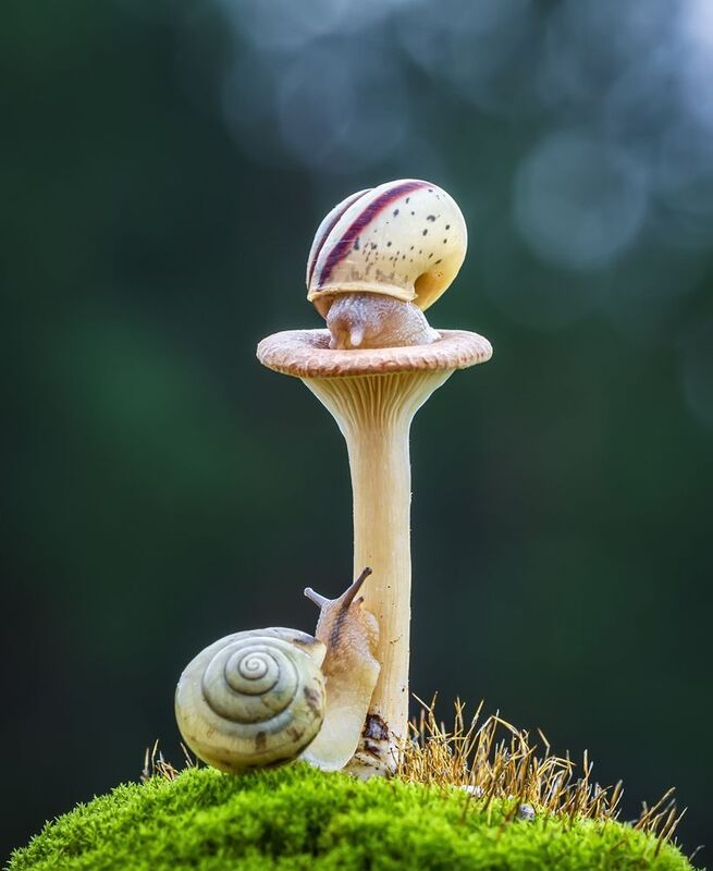 Игра в пряткиphoto preview