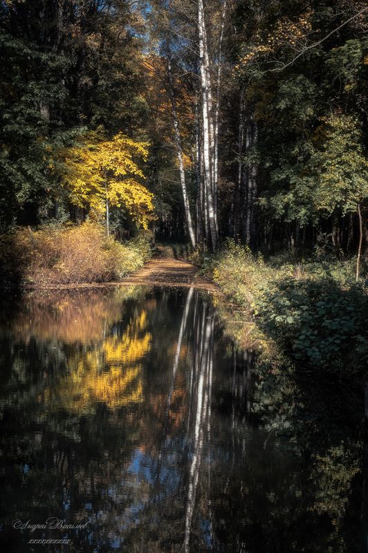 осень, осенний пейзаж, парки, контрасты осени Контрасты осениphoto preview