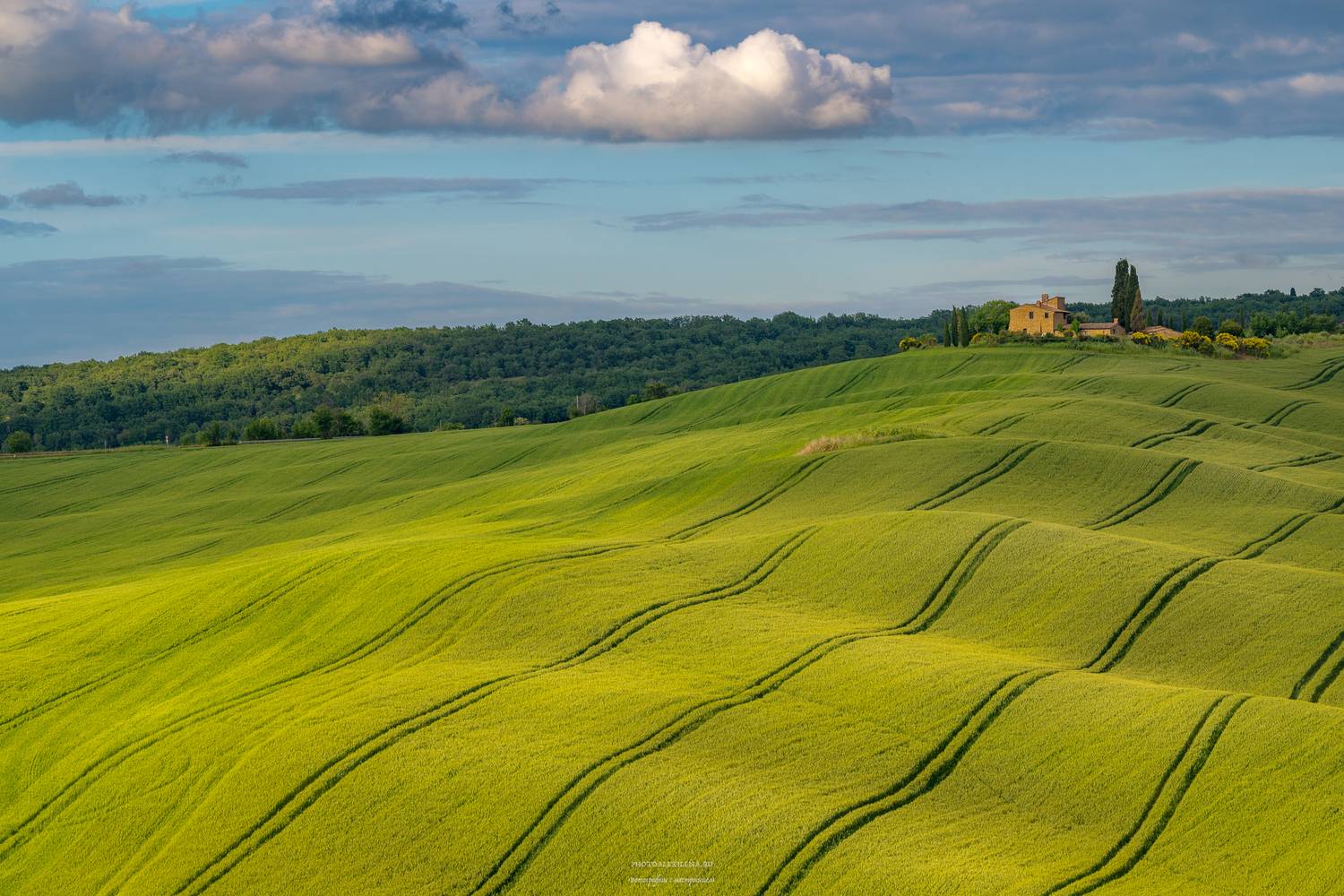италия, тоскана, пейзаж, Alexander Konstantinov