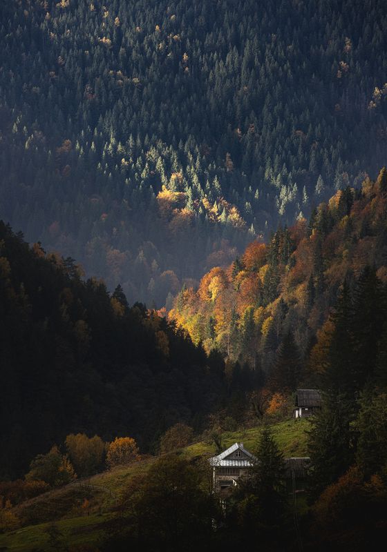 ray of light Ray beyondphoto preview