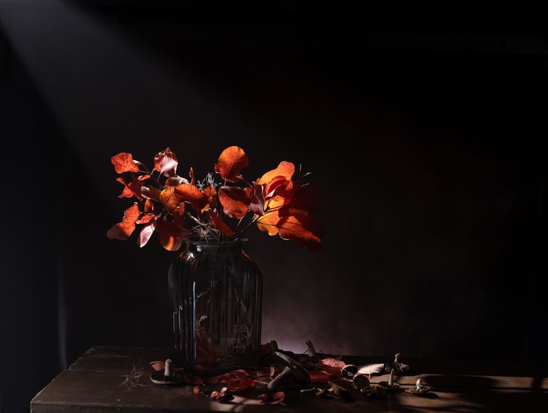 Осенняя с шампиньонамиphoto preview