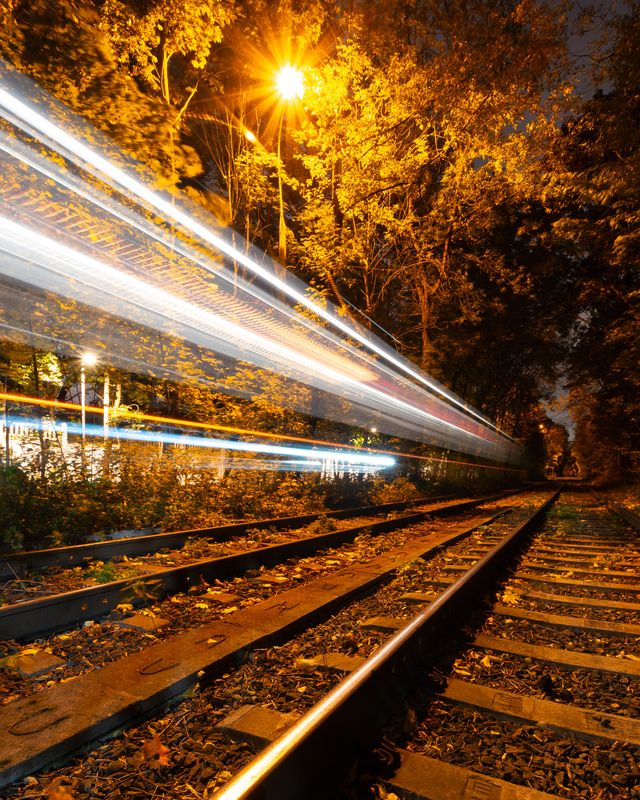 Москва, Россия, осень Лесные гостиphoto preview