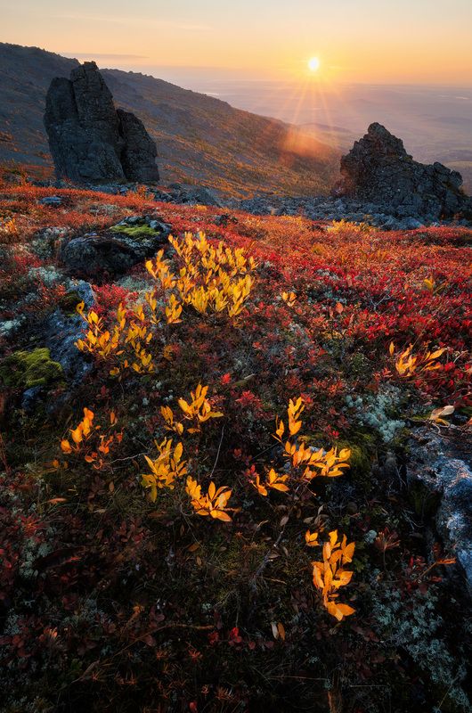 Северный Урал, Урал, тундра, Серебрянский камень, Конжак Сокровища Северного Урала.photo preview