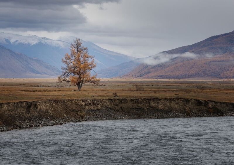 алтай, горный алтай, курай Одиночество фото превью